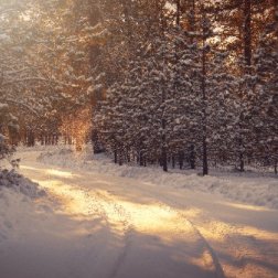 About Service Img Small